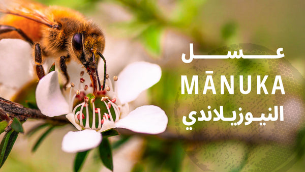 عسل ثري بيز البحرين